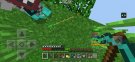 IMG_2135-1.jpeg