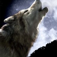 XGamingWolfX