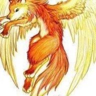 PhoenixHusky