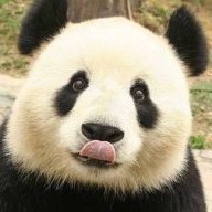 ThePandaEmpire