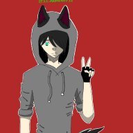 ShadowWolf95346