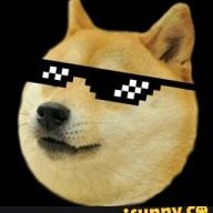 TheRareHotdog