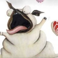 PigThePug