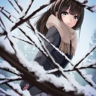 xSnowPhystos