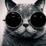 Animalloverluna