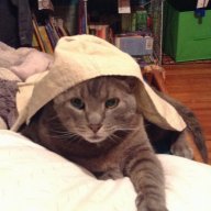 kipcat
