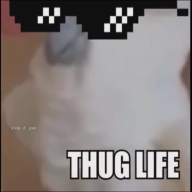 DontAskMyName
