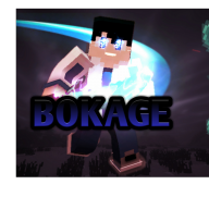 Bokage Gamer Craft