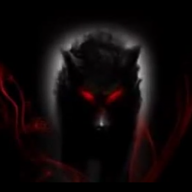 Wolf Playz