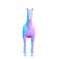 SpinyCotni