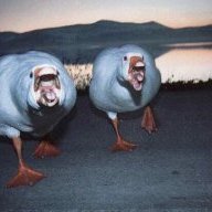 21TacToes