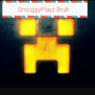 SmoggyGorgon667