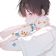 iBims1Sky