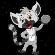 RocketRacoon329