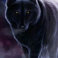 Divine_wolfXx