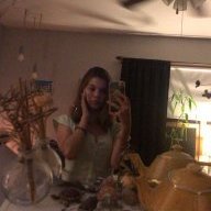 paintbrushesss
