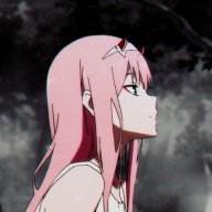 ZeroTwo002