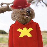 BearB