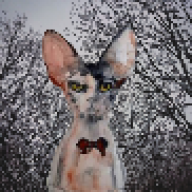Sphynxx