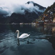 xNaviron