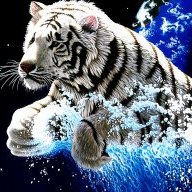 BlueTealTiger