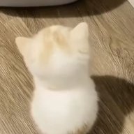 Valerie_127