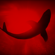 GavinXshark