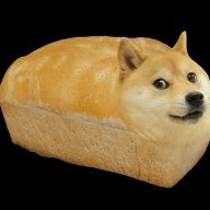 The Wilbur Dog