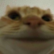 Benus