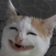xmqriam