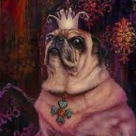 KingOfPugs13