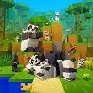 MinecraftBrokenlens