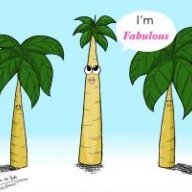 Rice_palmtree_datom