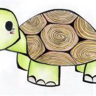 Too_much_turtle