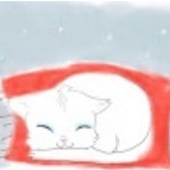SnowstarFlame