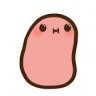 mongi