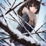 xSnowPhystos
