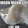 ItzYaGirlMoon