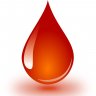 BloodLustRC