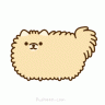 Nya Animtions