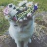 Madison_oOf