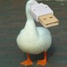 Donaldduck2468