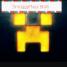 SmoggyGorgon667