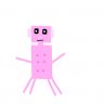 TheSquishyPig