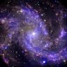 HeartyGalaxy277