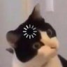 Trurtleface500