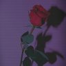 Lonely_