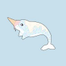 Narwhal