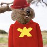 BearB