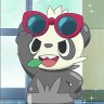 panddd